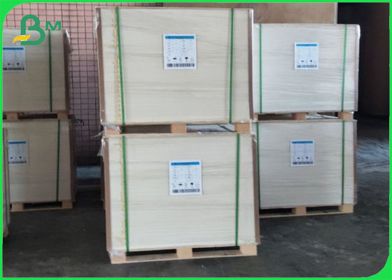 Completamente renovável PE revestimento Cupstock papel revestido de polietileno 210g+10g