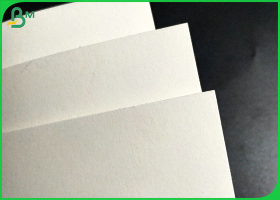 Papel absorvente da umidade sem revestimento da certificação do FSC para a pousa-copos da bebida