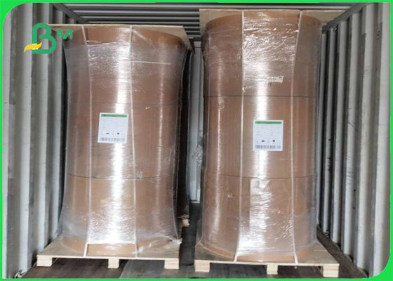 Biodegradável placa de Kraft do filme do PE 300gsm + 15g para o empacotamento de alimento