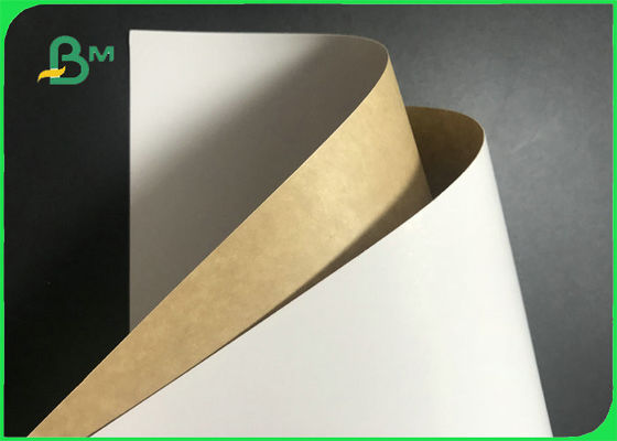 O branco do produto comestível revestiu a placa 250GSM 270GSM da parte traseira de Kraft para frutos de embalagem