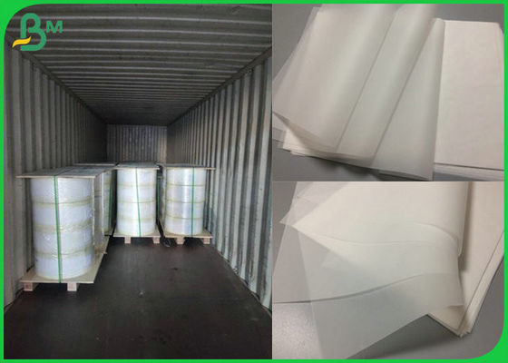 O bom carretel de papel 50gr 55gr do traçado da absorção da tinta com certificação do FSC apoiou