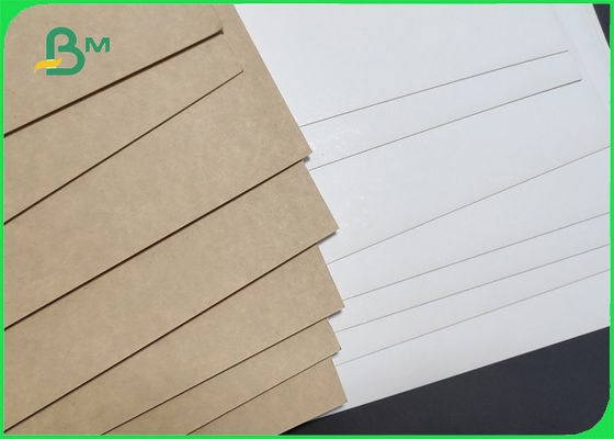 resistência de rasgo do rolo de 270gsm Clay Coated Kraft Back (CCK) 900mm