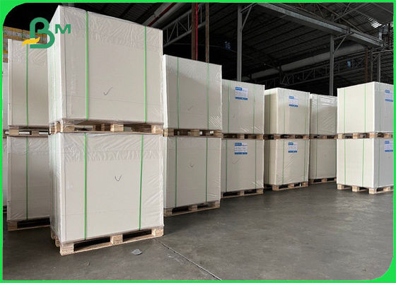 resistência de rasgo do rolo de 270gsm Clay Coated Kraft Back (CCK) 900mm