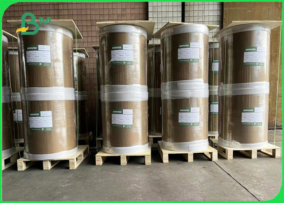 O cartão branco maioria super do recipiente de alimento revestiu um 215gsm lateral