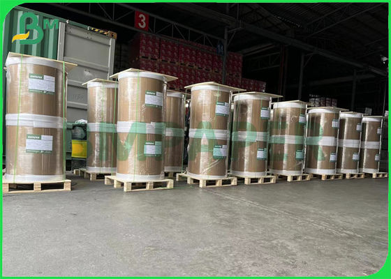 240gsm anti - cartão do Livro Branco do congelador uma placa revestida do alimento do lado