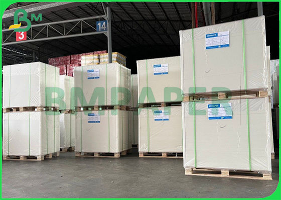 240gsm anti - cartão do Livro Branco do congelador uma placa revestida do alimento do lado