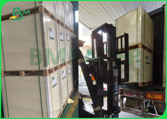 placa do alimento de 295gsm 325gsm C1S FBB para rigidez 25" da caixa do biscoito a boa x 37"