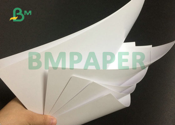 Livro Branco superior do texto lustroso revestido frente e verso de 80# 100# na folha 23" x 35"