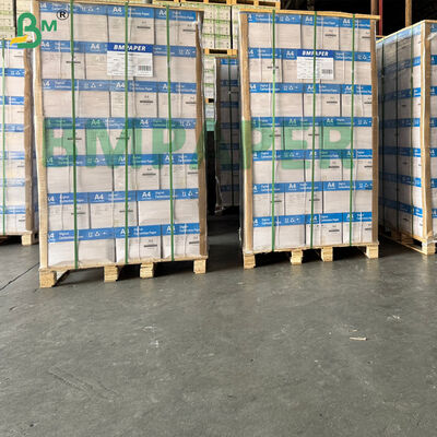 Papel Base Carbono A4, Tamanho Carta de Alta Sensibilidade CB CFB CF Embalado Separadamente
