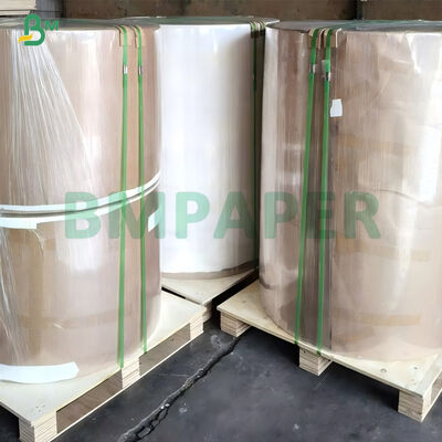 Papel branco semi-extensivel de 50 libras e 55 libras para embalagens de frutas