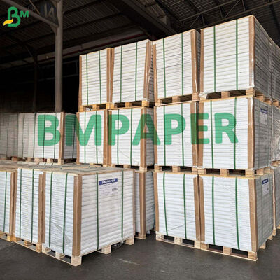 Papel C1S Brilhante para Envelope Externo de Sachê de Chá / Embalagem Externa de Sachê de Chá