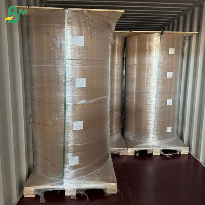 Papel Kraft Liner Pardo Revestido com PE de 50 gsm + 10g para Embalagem de Canudos 80cm 90cm