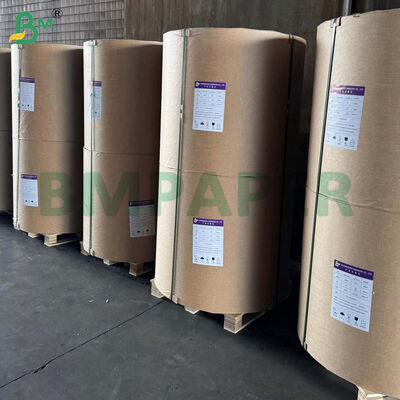 42gsm Papel de Cozedura de Grau Alimentar com Revestimento de Silicone em Dois Lados em Rolos