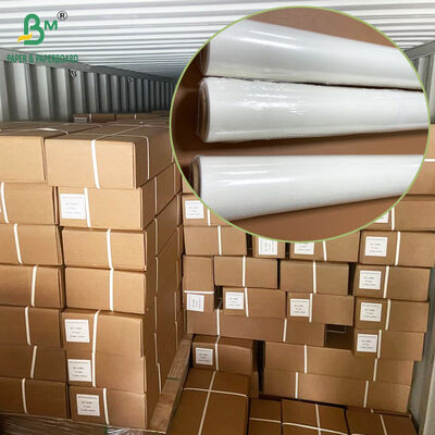 Papel de pergaminho branqueado não pegajoso rolos cortados 35 gr 38 gr 40 gr para forno