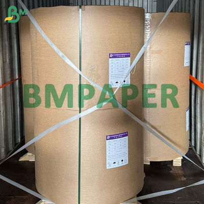 Rolo de Papel de Bagunça de Cana-de-Açúcar Biodegradável de 80g-300g Para Fazer Prato de Comida