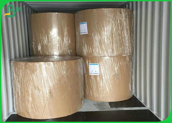 Eco - papel revestido do PE amigável do material 300G para fazer a lancheira